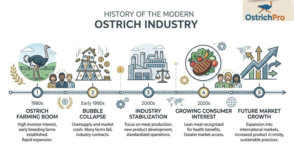 Timeline showing the ostrich farming boom, market collapse, and industry recovery